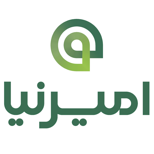 امیرنیا